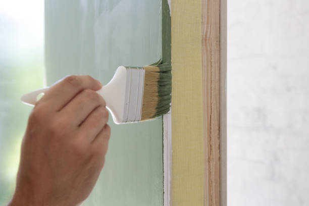  Omaha, NE Mold Removal Pros
