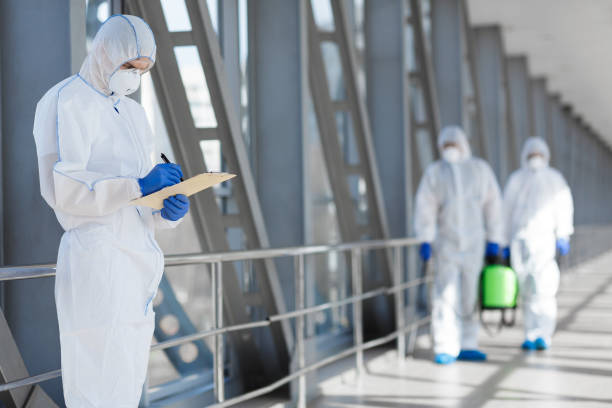 Best Mold Removal for HVAC Installations  in Omaha, NE