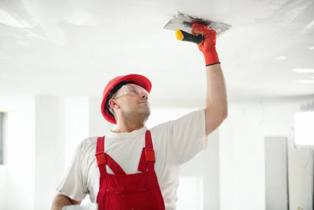 Best Mold Removal for HVAC Installations  in Omaha, NE