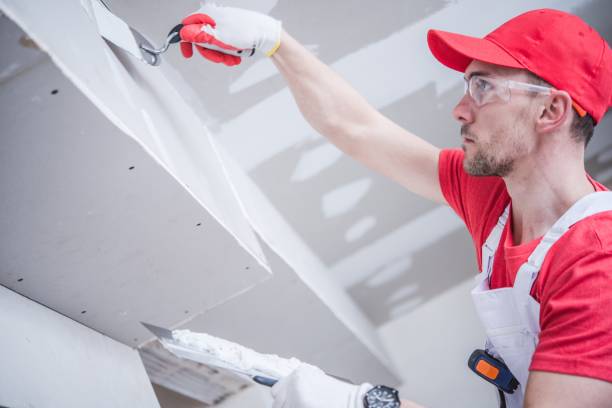 Best Mold Odor Removal Services  in Omaha, NE